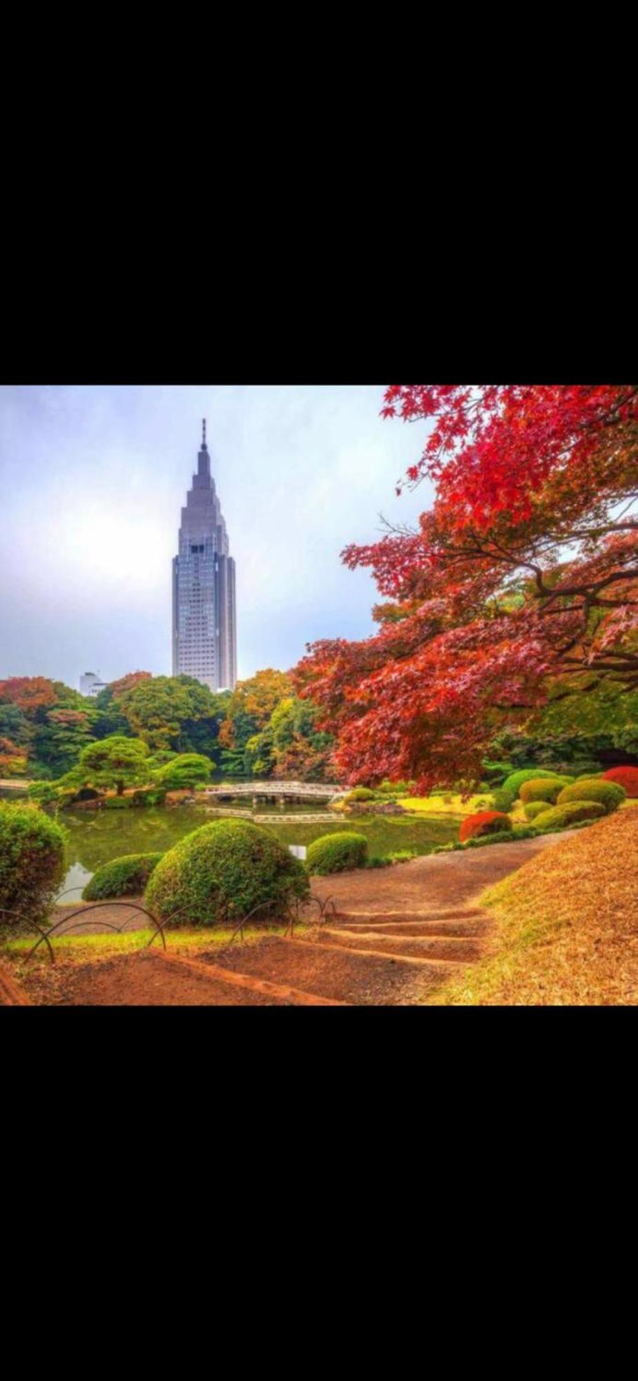 新宿安靜の家-A Quiet Home In Shinjuku - A 26 Square Meter Double Bed Room That Feels Like Home Токіо Екстер'єр фото