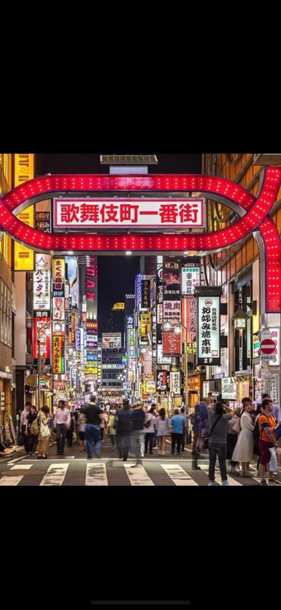 新宿安靜の家-A Quiet Home In Shinjuku - A 26 Square Meter Double Bed Room That Feels Like Home Токіо Екстер'єр фото
